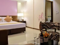 Grand Alpine Hotel 2*