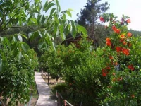 Olympos Inci Pansiyon 3*