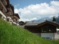 Les Grandes Alpes 4*