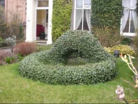 Ivy Guest House Edinburgh 3*