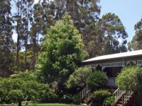 Adamsons Riverside Accommodation 3*