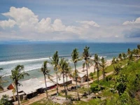 Coconuts Hummingbird