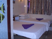 Maple Leaf Guest House 2*