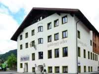Hotel Goldener Adler Wattens 3*