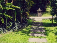 Swasti Eco Cottages 3*