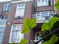 Amsterdam Hostel Annemarie 1*