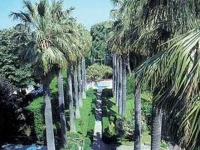 La Residenza Sorrento 4*