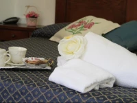 Residence I Due Pini 3*