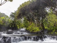 Tabacon Grand Spa Thermal Resort 5*