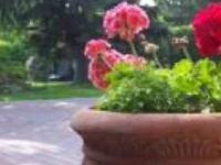 Guestroom Vaskapu 42 2*