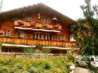 Chalet Alpendohle 2*