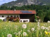 Ferienappartements Meixner 1*