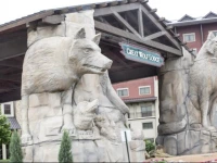 Great Wolf Lodge Grapevine 3*