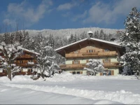 Hotel Garni Wieshof 3*