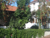 Anton und Edith Zimmermann 1*