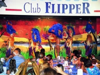 Club Flipper 4*