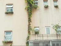 Nova Travellers Lodge 2*