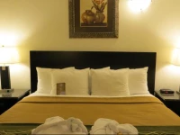 Comfort Inn & Suites Downtown Edmonton 3*