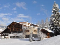 Hotel Al Plan Dolomites Museum 3*