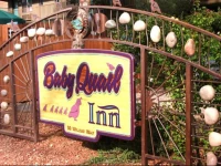 Baby Quail Inn 2*