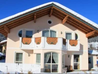 Apartment Krismer 1*