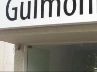 Hotel Gulmohr 3*