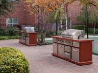 Homewood Suites by Hilton Irving - DFW Airport 3*