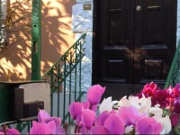 Vatican Garden House 1*