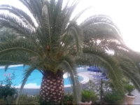 Hotel Costa Citara 3*