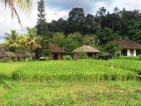 Good Karma Homestay & Restaurant Candidasa Bali 1*