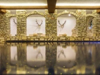 Aktiv & Spa Hotel Alpenrose 4*