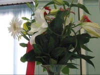 Locanda Ca San Marcuola 3*