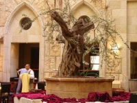 Olive Tree Hotel Jerusalem 4*