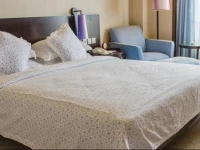 South China International Hotel 5*