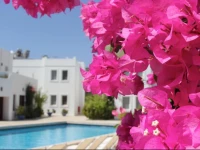 Seckin Konaklar Hotel 3*