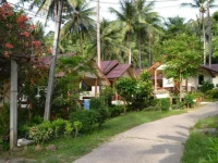 Day Night Bungalow & Bar 3*