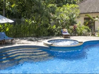 Villa Padma Lovina 3*