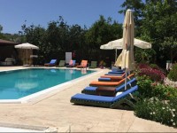 Paradise Garden Apartments 1*