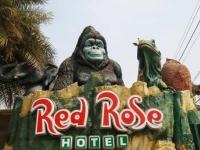 Red Rose 2*