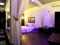 Dhanesvara Holistic Unique Homestay 3*