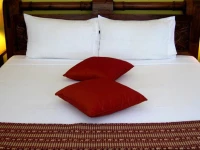 Coconut Palms on the Bay 3*