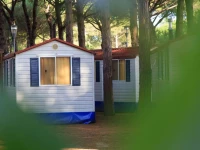 Pineta Sul Mare Camping Village 2*