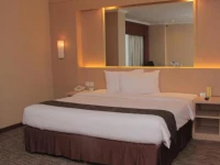 Polonia Medan 4*
