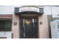 Haru Hotel 1*