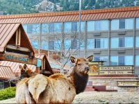 Rocky Mountain Park Inn 3*