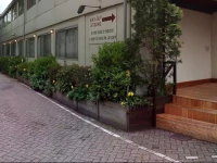 Budget Hostel Bargain Toko 1*