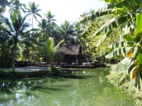 Le Parasol Blanc Hotel 3*