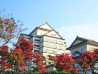 Akiu Grand Hotel 3*