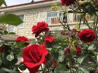 Alacati Sorf Hotel 2*