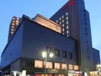 Iwaki Washington Hotel 3*
